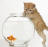 Kitten looking at goldfish in bowl